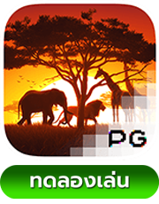 Safari Wilds